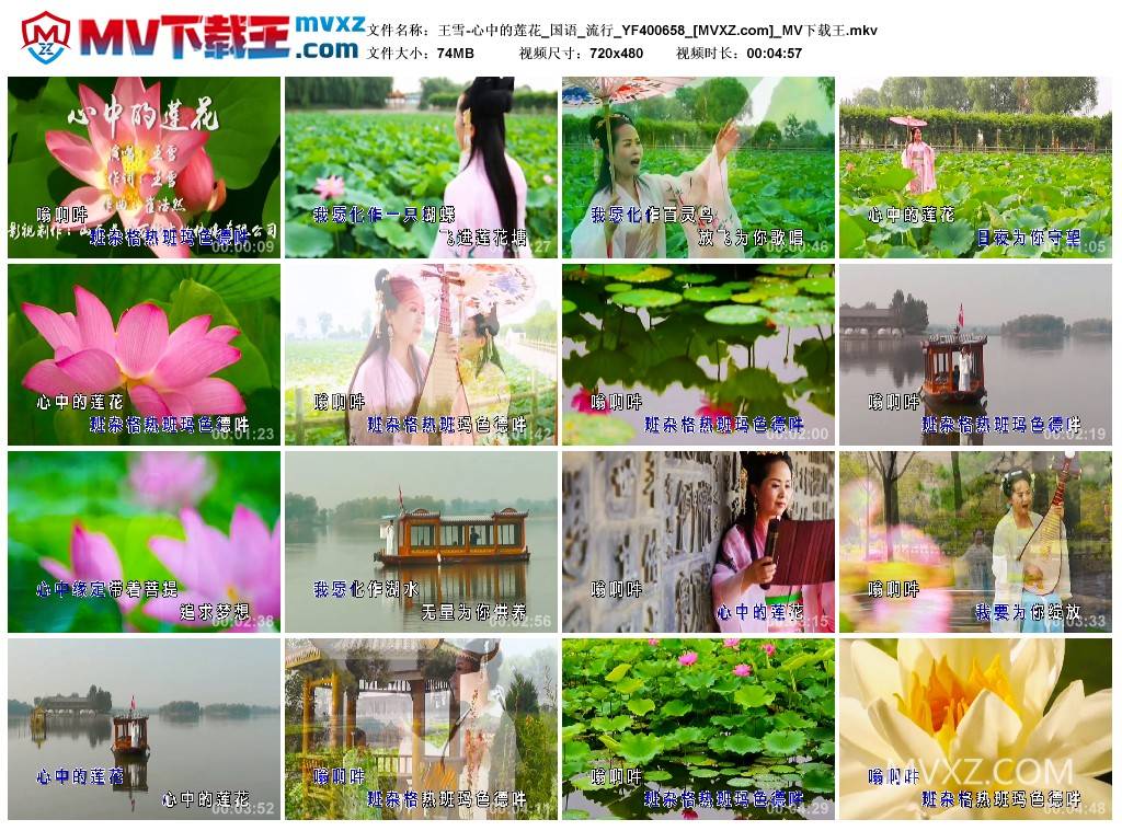 王雪-心中的莲花_国语_流行_YF400658